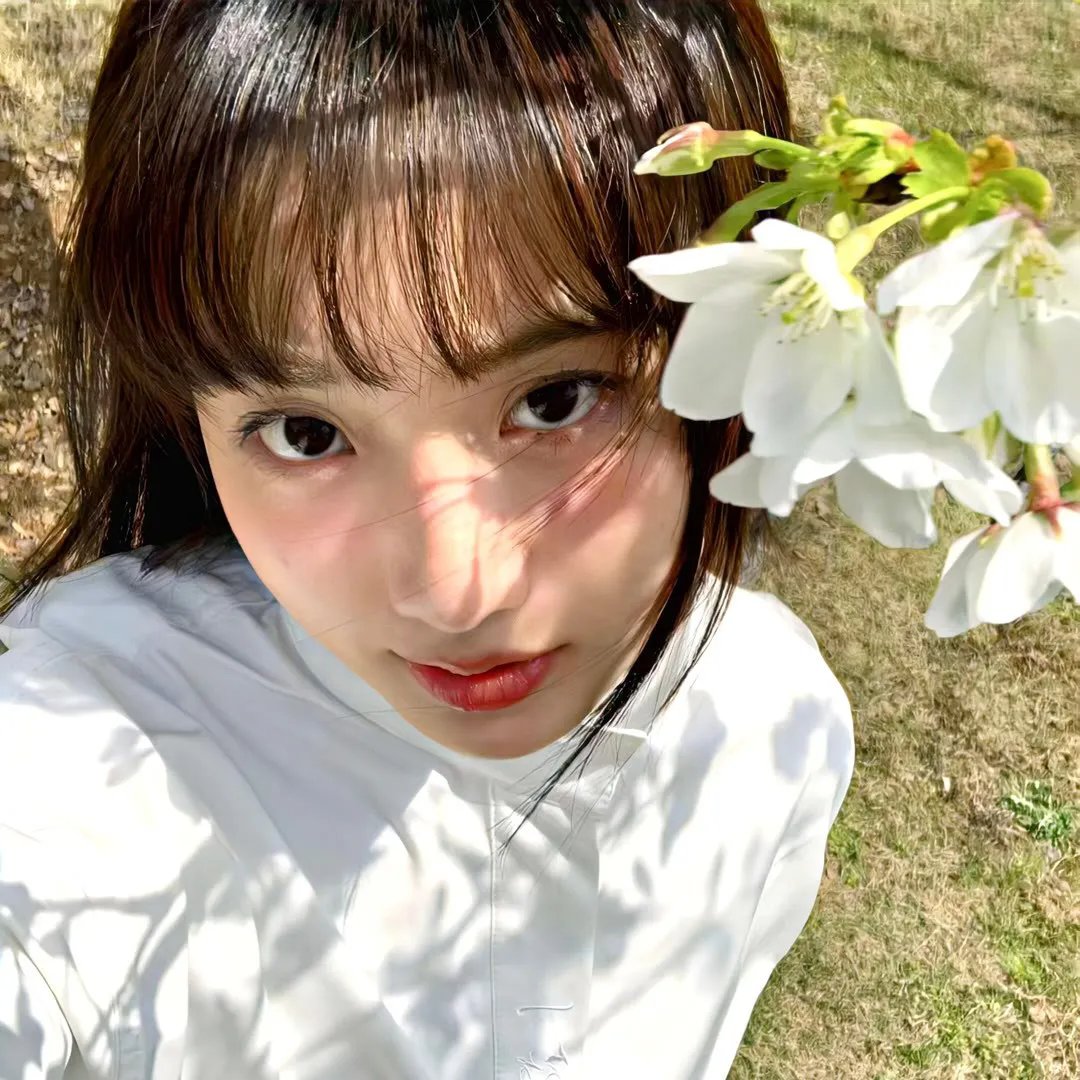 廿载风流梦 在线观看