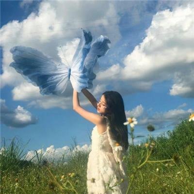 捕风汉子 在线观看
